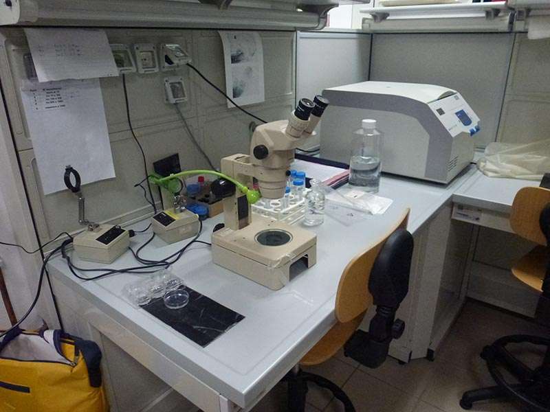 Laboratorio microscopia