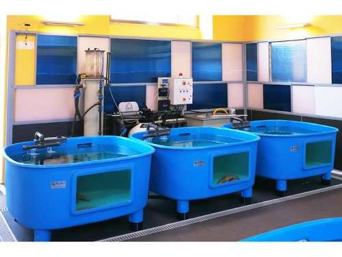 Nr. 12 Impianti Fish Factory completi nel Centro ricerche tartarughe marine della Stazione Zoologica Anton Dohrn Napoli