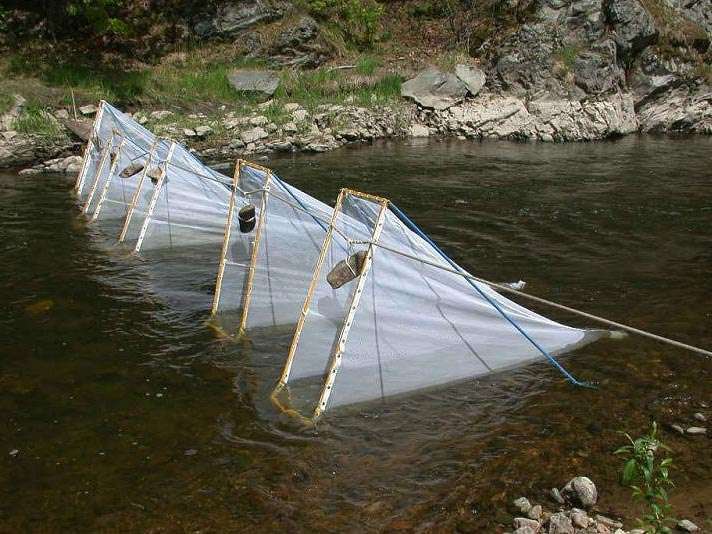 I retini fissi possono essere utilizzati singolarmente o in serie campionando una maggiore sezione del corso d’acqua