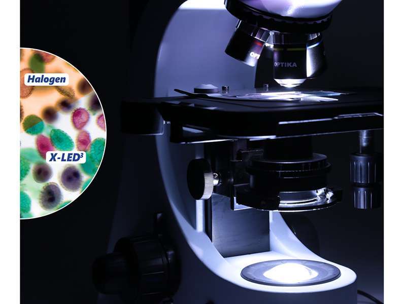 Grazie alla tecnologia X-LED3 la visualizzazione del campione è migliore e con colori più naturali rispetto ad una lampada alogena.