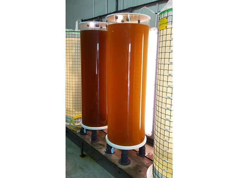 Bioreattore cilindro trasparente in plexyglass per la coltivazione di fitoplancton, capacità 390 litri