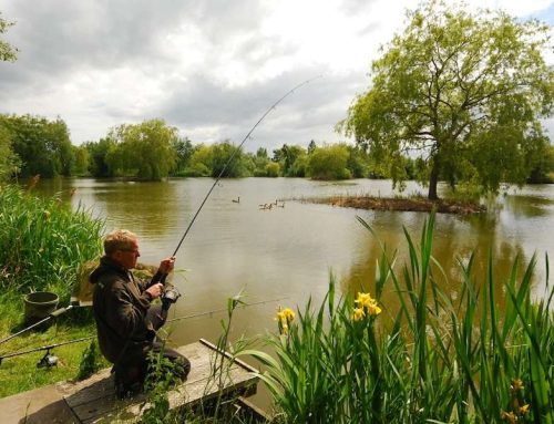 Il miglior antialghe per un laghetto di pesca sportiva? È di colore blu…