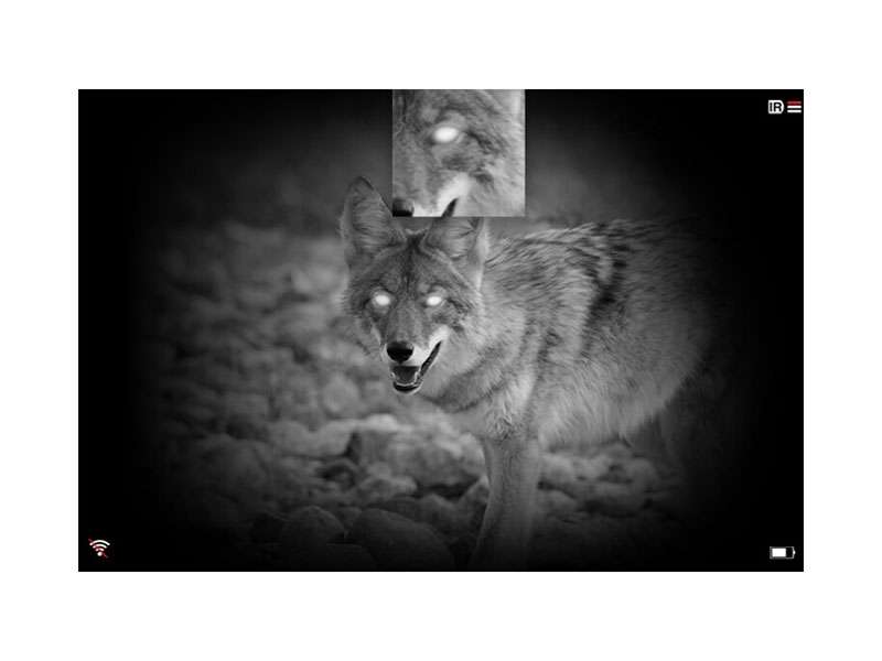 immagine notturna del monocolo pard nv009