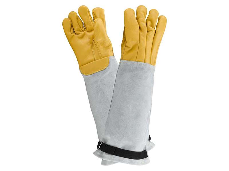 guanti antimorso vetpro